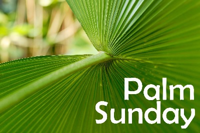 Palm sunday