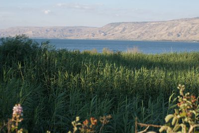 Sea of Galilee