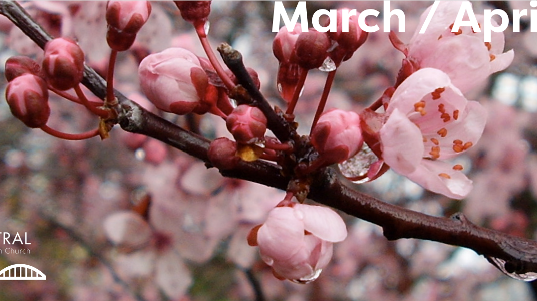 March-april newsletter