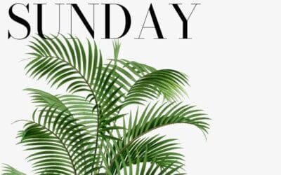 Palm Sunday, March 29, 2026
