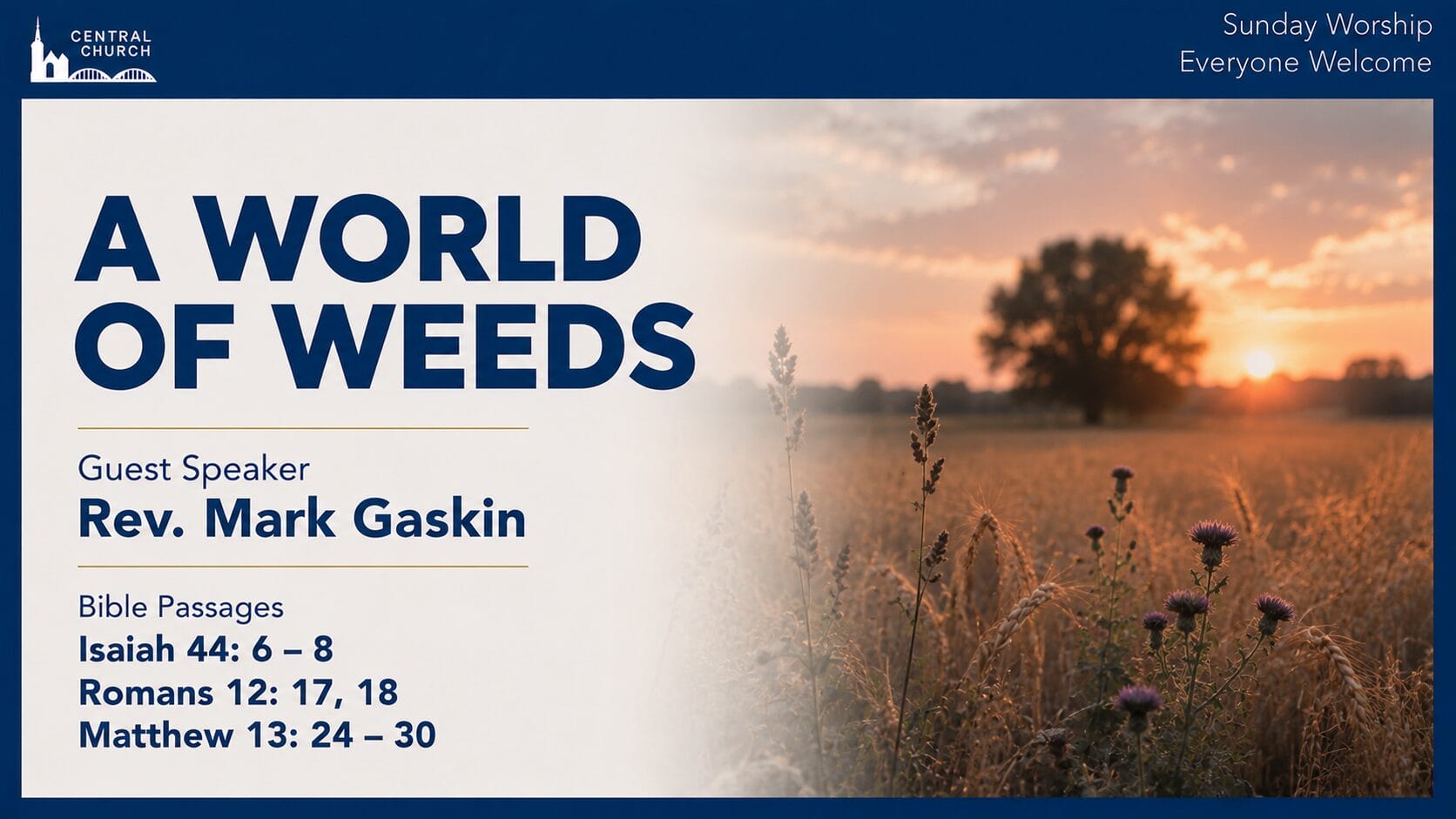 A World of Weeds - Sermon